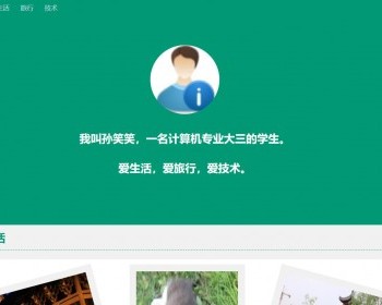 简单好看的个人主页网站静态HTML - HTML / 前端静态