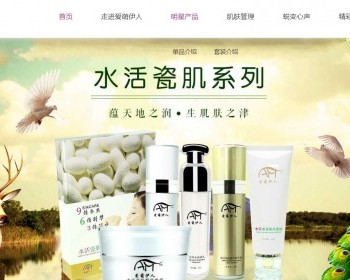 大气的肌肤健康化妆品公司网站响应式模板 - HTML / 前端静态