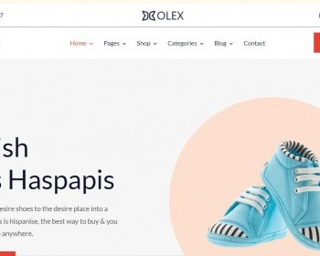 一款国外购物商城全英文静态HTML模板 - HTML / 前端静态