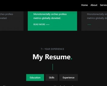 英文个人简历静态模板个人技能展示工作履历网 - HTML / 前端静态