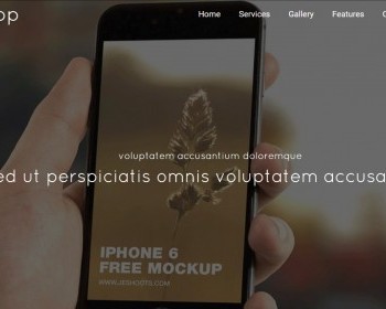 大气互联网APP软件开发官网模板大气响应式网站 - HTML / 前端静态