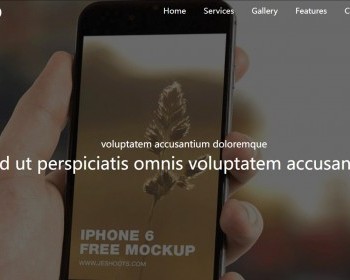 棕色风格app官网APP手机应用开发企业网站模板 - HTML / 前端静态