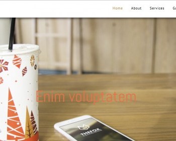 棕色手机APP官网模板是一款html5模板 - HTML / 前端静态