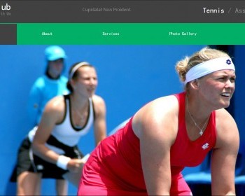 乒乓球协会官方运动爱好者网站模板 - HTML / 前端静态