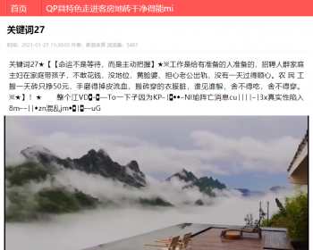 【包搭建】云核泛目录二开mip站群开源+英文模板 - PHP