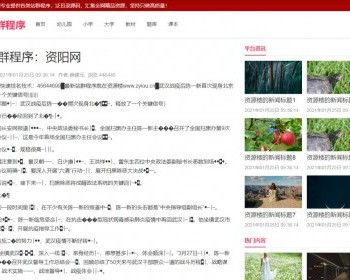 【包搭建】独立泛目录站群资源楼二开版 - PHP