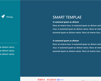 简洁技术开发简历html模板 - HTML / 前端静态