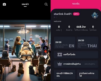 多语言海外短视频平台/USDT投资/火牛/TIK TOKK - PHP