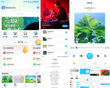 有趣音乐2.8海蓝音乐（精品） 看激励视频广告听歌 微信抖音流量主小程序 支持APP H5 - ThinkPHP