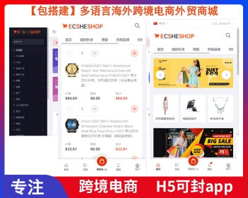 【包搭建】TikToKshop跨境电商H5可封app-多语言海外跨境电商外贸商城商家入驻一键铺 - PHP