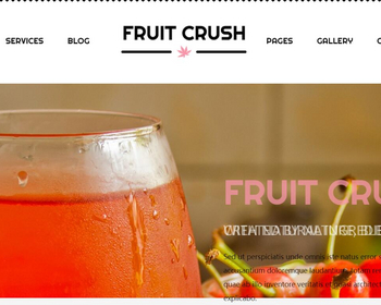 榨果汁饮料店网站模板是一款html5模板 - HTML / 前端静态