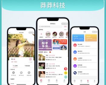 【可运营】婚恋交友相亲小程序源码程序开发 独立版 - PHP