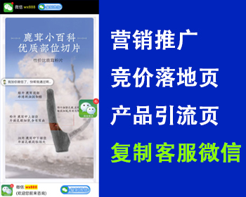 高端大气落地页单页网站源码营销竞价推广页网站源码产品引流页复制微信号打开微信功能 - PHP