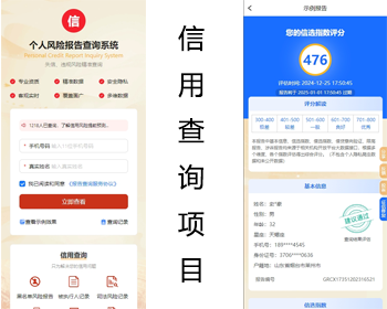 【真实数据】大数据查询数据查询征信系统征信网黑大数据查询 - ThinkPHP