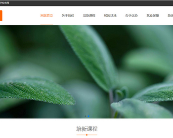 K564（pc+wap）康复培训学校网站模板 - PHP