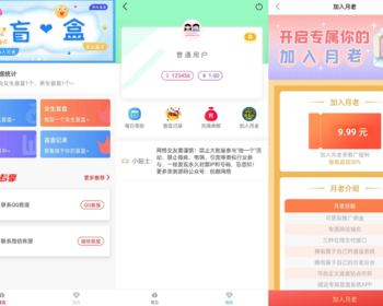 【2025】盲盒交友开源H5免公众号个人易支付存取小纸条盲盒婚恋同城聊天交友主机可搭 - PHP