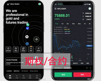 期权/大宗商品/区块链/黄金/外汇/交易所/多语言期权系统原创开发 - Java
