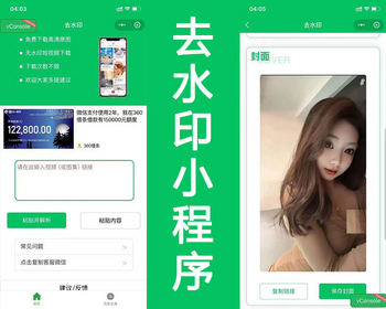 2026去水印小程序源码可对接完整流量主广告可直接运营去水印小程序流量主神器搭建 - PHP