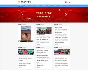 响应式老年康养健身协会网站模板源码 养老院养生协企业网站【EY05】 - PHP