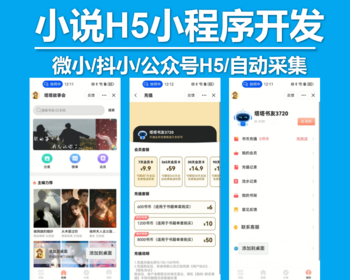 （运营中）小说公众号H5小程序源码搭建对接百度巨量推广自动采集支持二次开发 - ThinkPHP