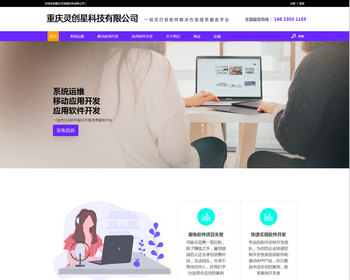 软件行业4分类信息网站模板104带演示数据办理ICP电信增值许可证专用 - PHP