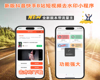 2026新版去水印小程序源码抖音快手短视频下载无水印源码工具去水印带流量主赚钱系统 - PHP