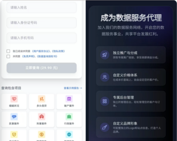 大数据平台/精准查/大数据查询系统/后台代理系统/前后端全套源码 - Python