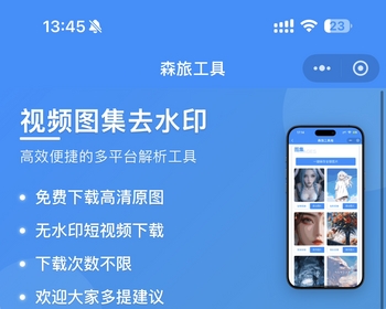 2025新版森旅去水印小程序无水印源码工具去水印带流量主 - Vue