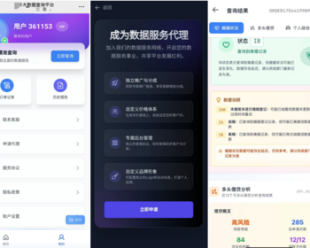 大数据平台查询系统、后台代理系统/前后端全套源码 - Python