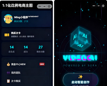 Sora2图片生成视频独立源码部署 - PHP