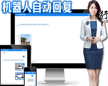 客服AI机器人AI源码营销机器人在线客服系统|机器人自动回复|即时通讯聊天 - HTML / 前端静态