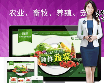 567水果蔬菜果蔬食品饮料茶叶普洱茶果蔬茶酒农业蔬菜大棚农业畜牧肉牛养殖苗木花圃盆 - ThinkPHP