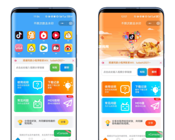 新版去水印小程序系统抖音快手Bilibili 前端+后端全套源码 多套模版 免授权 - PHP