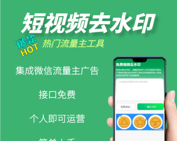 【更新】2026新版视频去水印小程序对接完整流量主广个人主体流量主送免费接口 - PHP