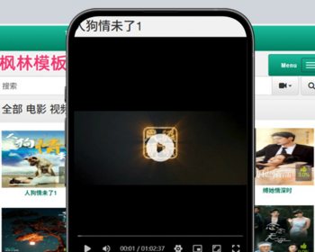 t17绿色简约自适应手机PC电脑自适应模板苹果CMSV10模板 - PHP