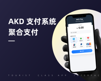 聚合支付 代付 收单系统 轮询支付 国际收支 - Java