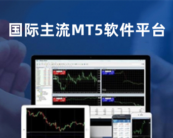 MT5的crm客户管理系统主标和白标手机wap的H5客户端电脑pc端APP客户端 - Java