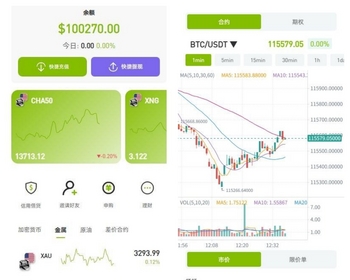 仿制ST7软件系统数字黄金外汇交易软件系统拥有H5端可以打包app客户端源码开源可以二开 - Java