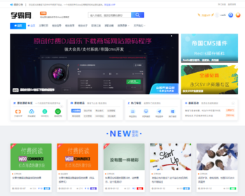 帝国cms自适应响应式知识付费资源站下载站模板带会员支付整站源码 - PHP