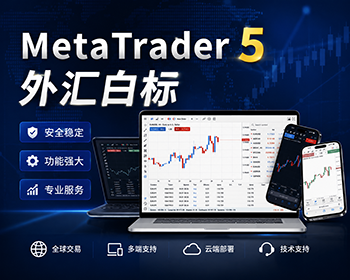 MetaTrader 5外汇白标/mt5 - .NET / C#