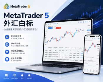 MT5源码交易所MT5搭建MT5软件MT5白标搭建MT4交易软件CRM源码MT5源码MT5白标系统 - C / C++