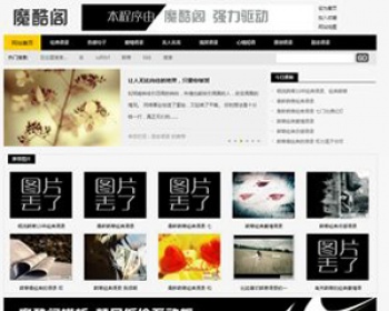 织梦句子语录模板,dedecms小说模板,文章资讯模板,带采集规则 - PHP