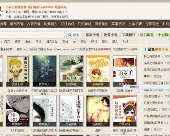 精仿潮汐小说网源码 - PHP