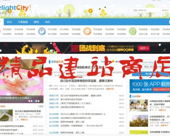 discuz模板：delight城市门户 商业版（GBK） 买1送2 - PHP