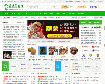 destoon6.0绿色模板 dt11适合多种行业网站 可带演示站数据打包