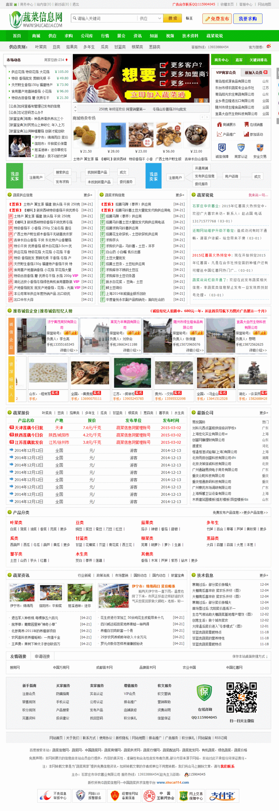 destoon6.0绿色模板 dt11适合多种行业网站 可带演示站数据打包