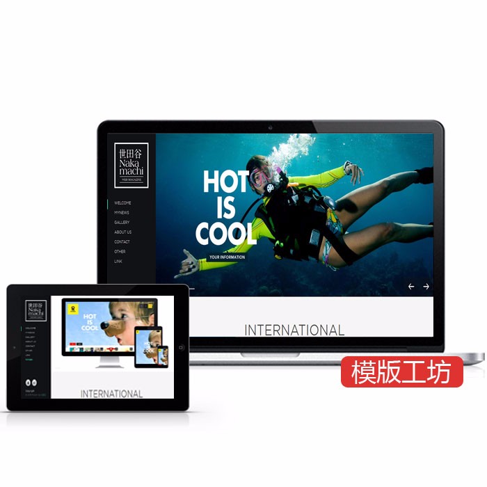 创意摄影艺术展示 DedeCMS织梦模板网站源码 自适应手机 带后台