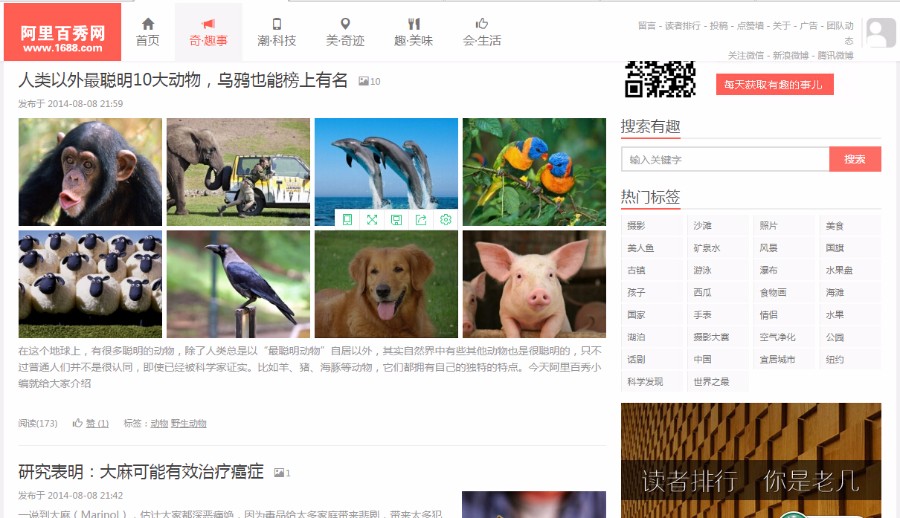 dedecms源码,织梦cms源码,仿阿里百秀网,文章源码,pc电脑端+手机自适应