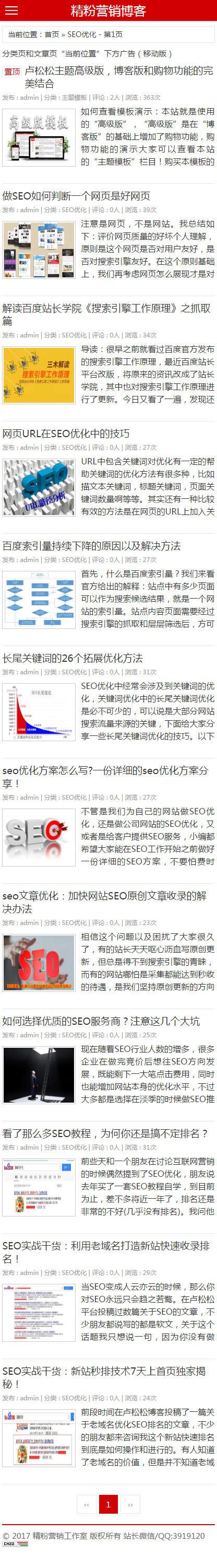2017卢松松网站模板博客版 Zblog主题模板 SEO的主题模板