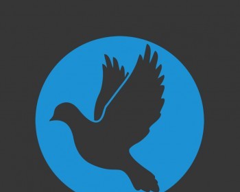 新HDP 后台源码+Android TV客户端播放器